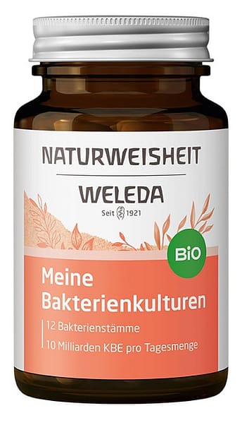 Meine Bakterienkulturen