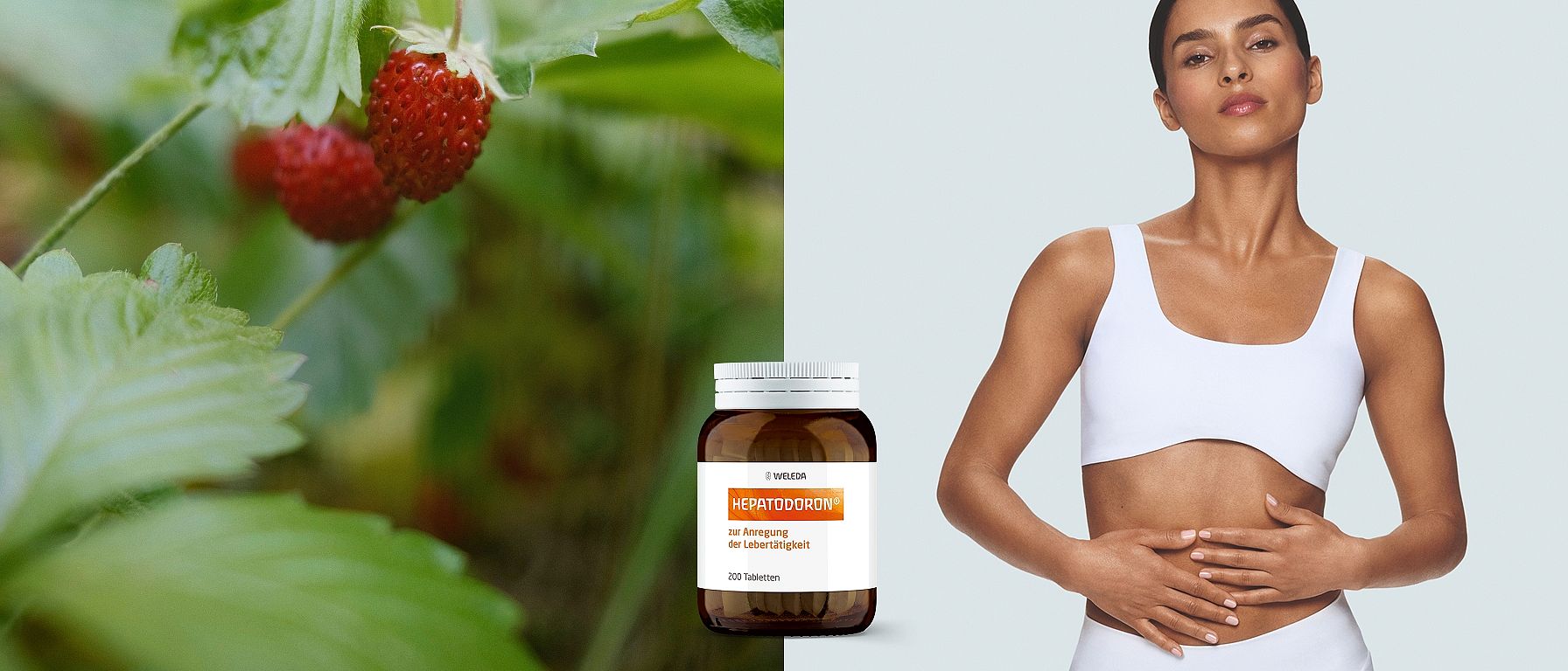 Hepatodoron Tabletten