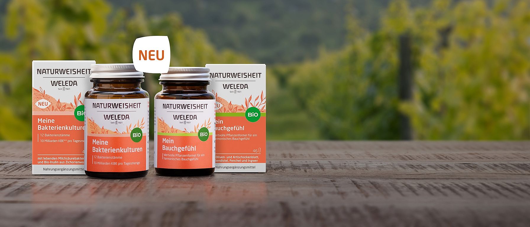 Die Naturweisheiten Mein Bauchgefühl & Meine Bakterienkulturen