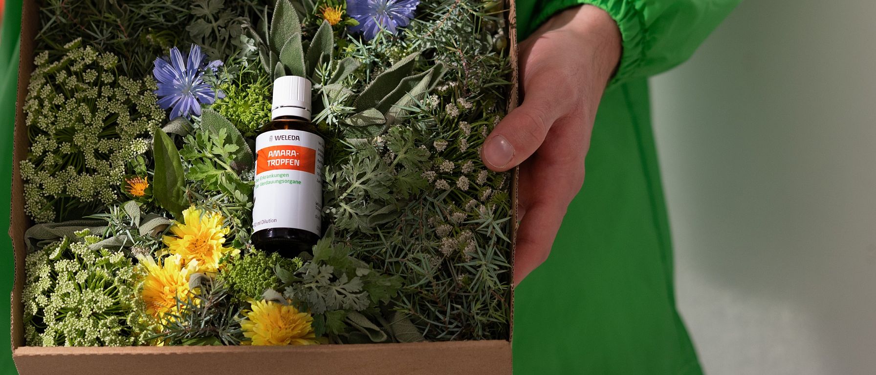 Amara Flasche liegt in der Mitte einer Kiste umrandet von Blumen und Gräser. Die Kiste wird gehalten von einer Frauenhand