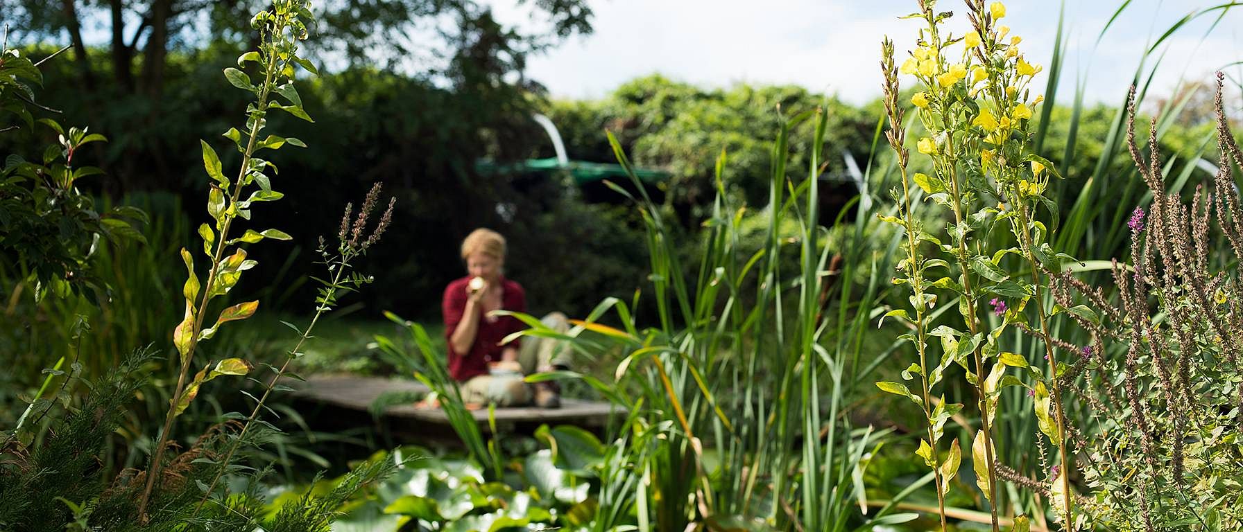 Weleda-Garten