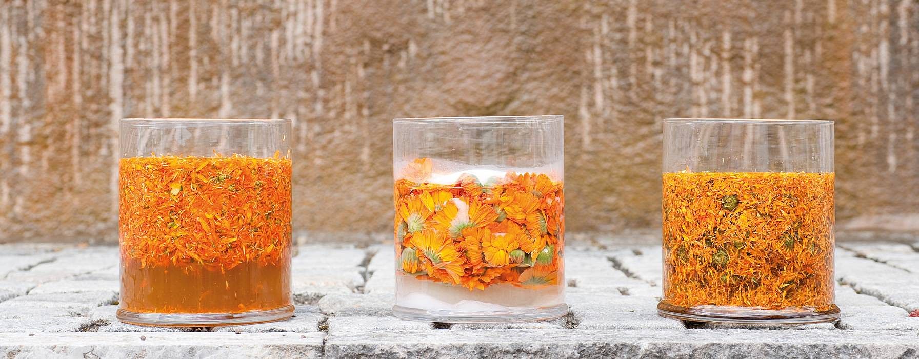 Drei Behältnisse mit Calendula Blüten in unterschiedlichen Aggregatzuständen
