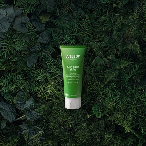 Skin Food light