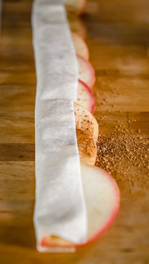 Apfelschnitze