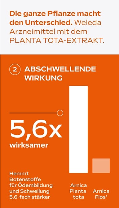 Arnika-Salbe 10%