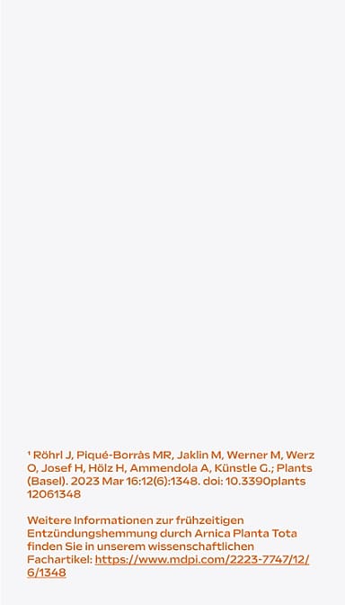 Arnika-Salbe 10%