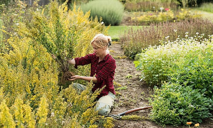 Gärtnerin im Weleda Garten