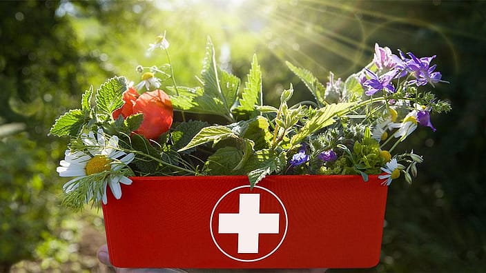 Apothekenkoffer mit Heilpflanzen