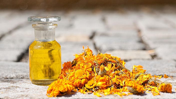Calendula Öl und Blüten