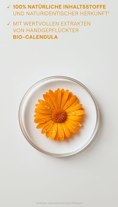 Calendula Wundschutzcreme parfümfrei