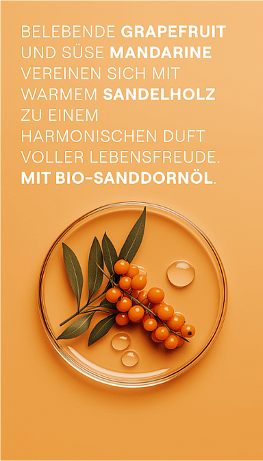 Sanddornzweig und Sanddornöl Tropfen in einer Petrischale. Belebende Grapefruit und süsse Mandarine vereinen sich mit warmen Sandelholz zu einem harmonischen Duft voller Lebensfreude. Mit Bio-Sanddornöl.