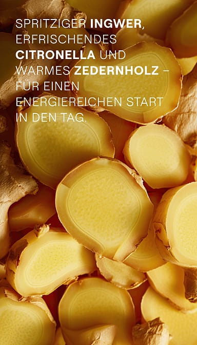 Energy Shower Gel Ingwer