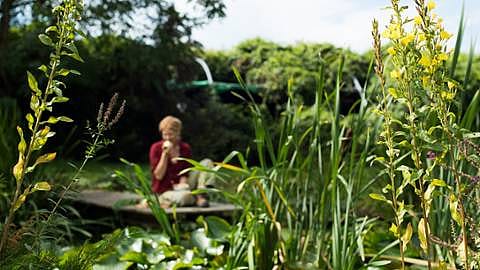 Weleda-Garten