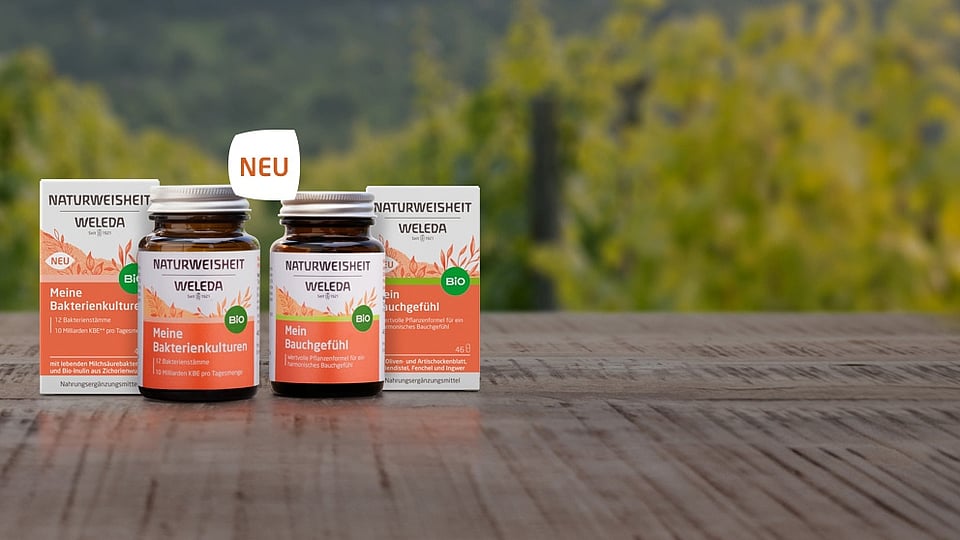 Die Naturweisheiten Mein Bauchgefühl & Meine Bakterienkulturen