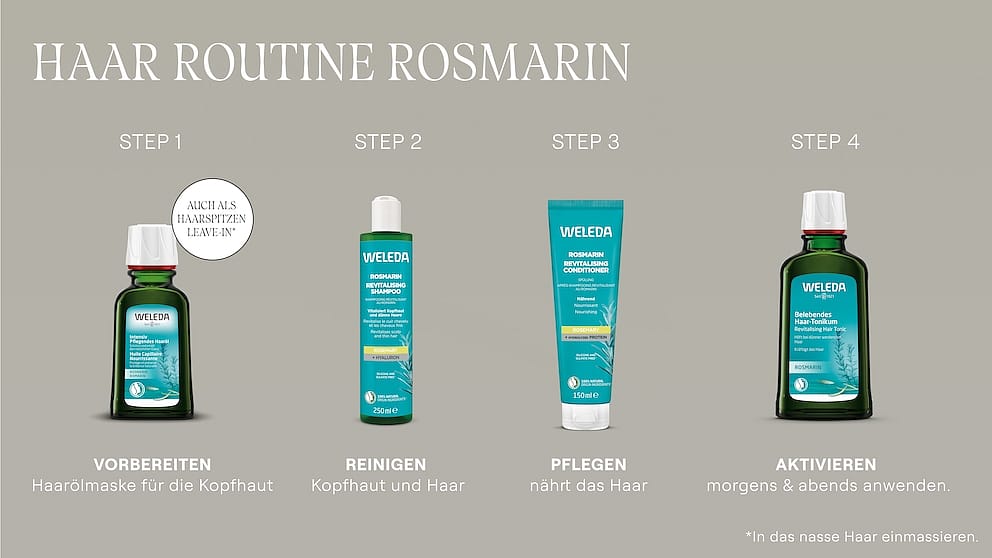 Rosmarin Produkte und Beschreibung