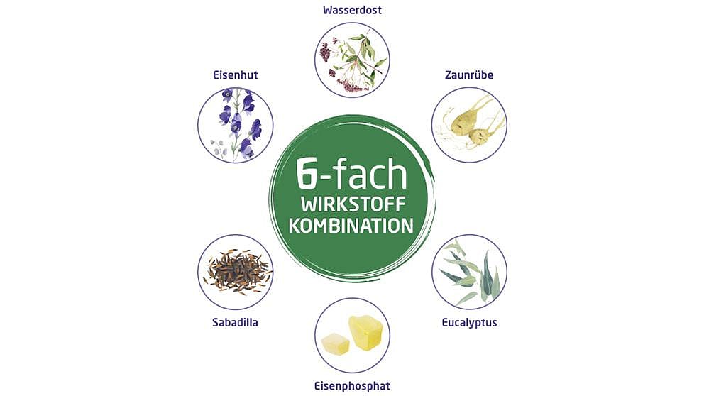 6 Kombinationspräparat aus fünf ausgewählten Heilpflanzen und Ferrum phosphoricum