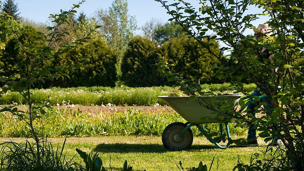 Biodiversität einfach aber umfänglich erklärt